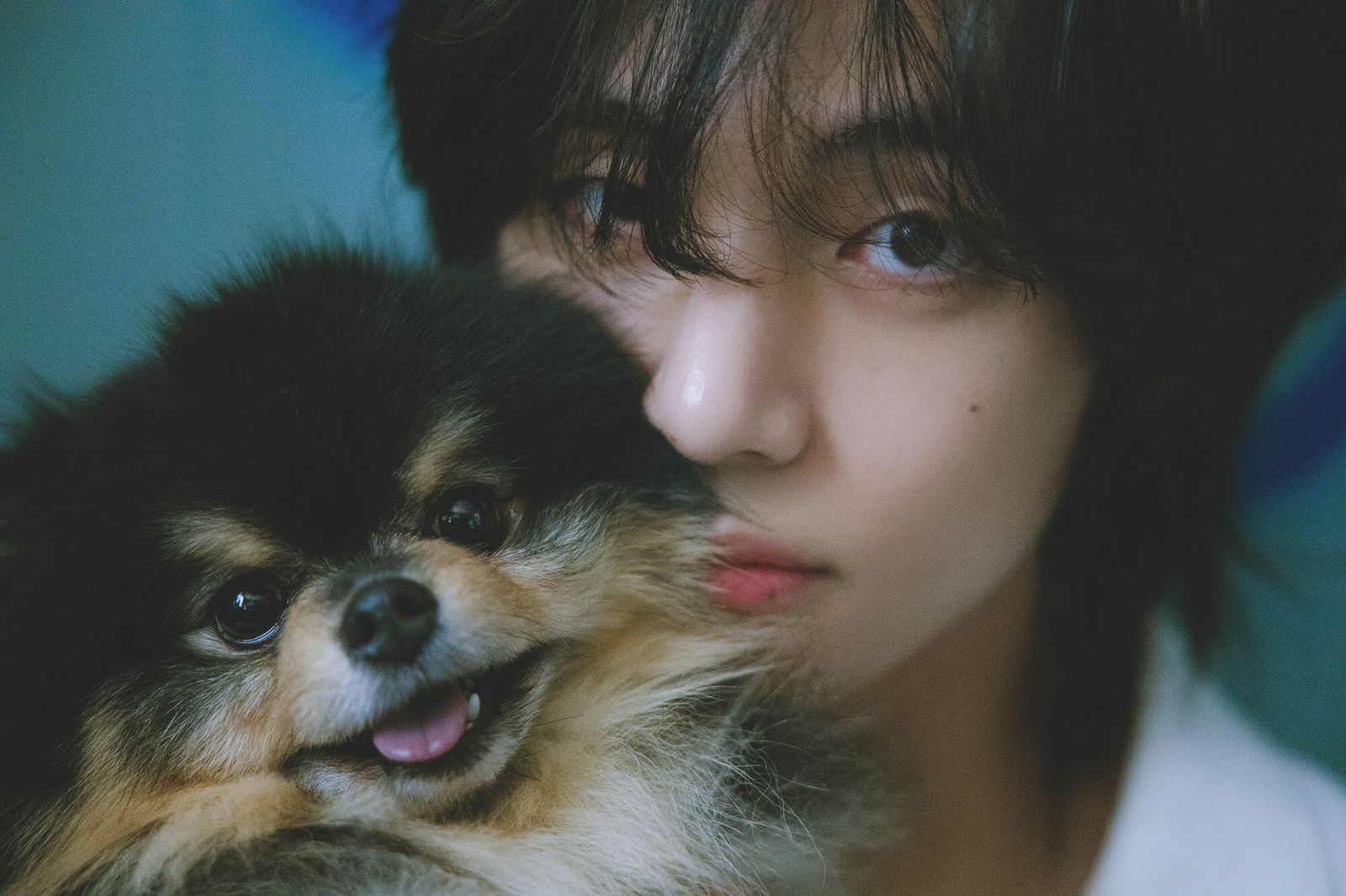 v-layover-concept-photos