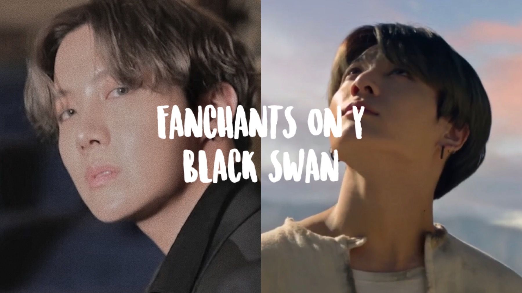 Fanchants ON & Black Swan